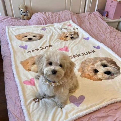 AriliaPet-Pet Customized Creative Blanket